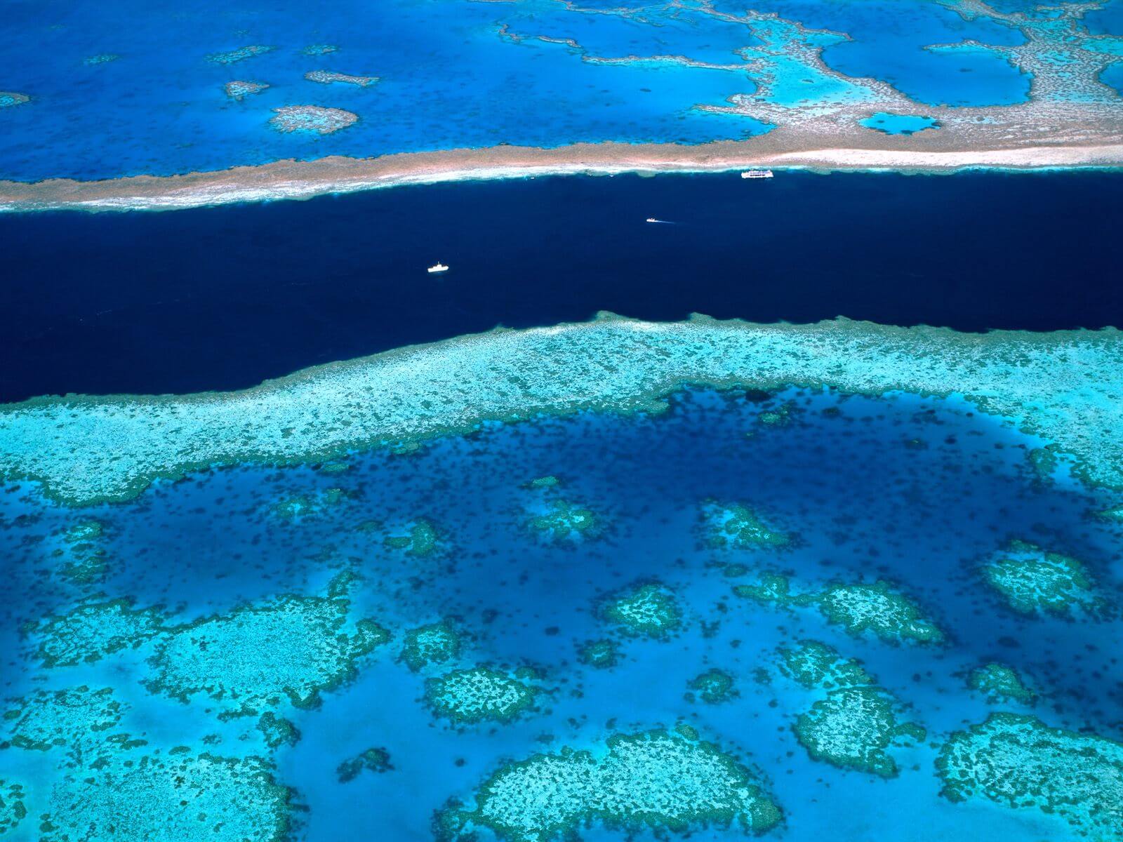 How the Australian Great Barrier Reef Succeeds