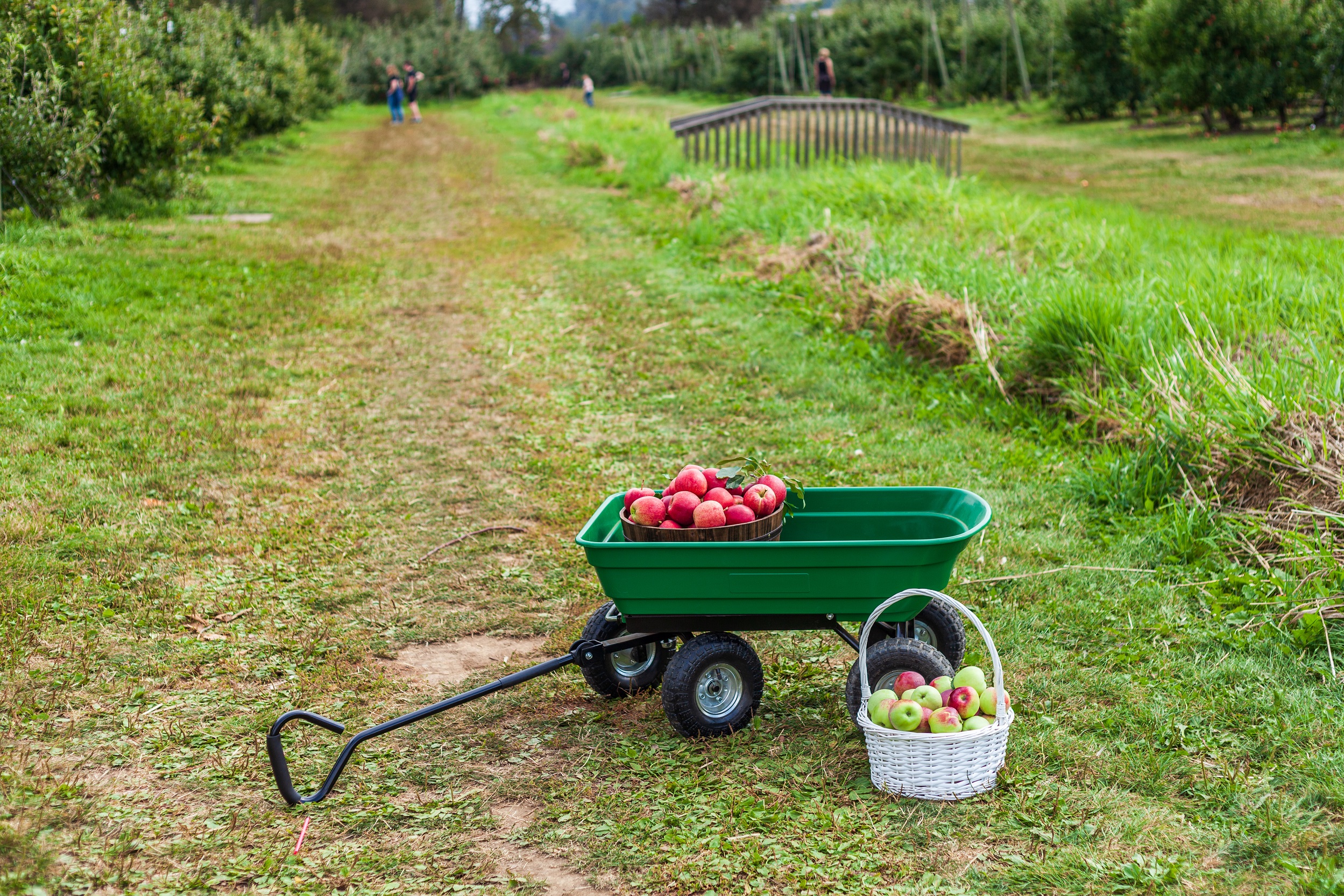 10 Best Yard Carts for Work [2022 Edition]