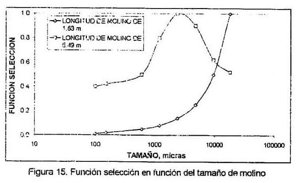 funcion-seleccion-e1447009209522