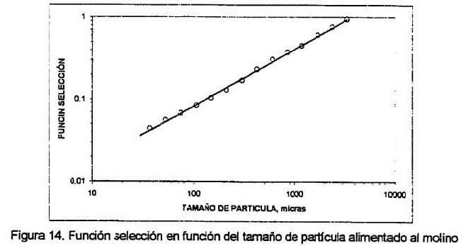 funcion-seleccion-en-e1447009110712