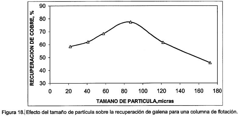 tamano-de-particula1