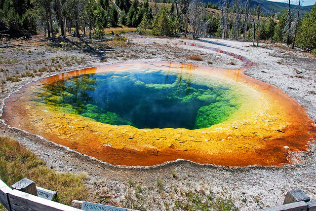 Chalcopyrite Leaching by Thermophilic Bacteria