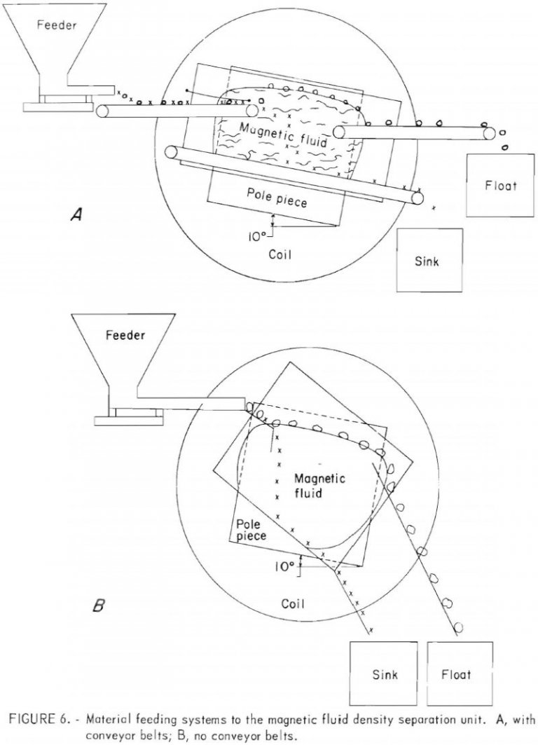 biology phenomena