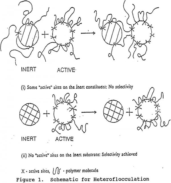 Selective Flocculation - 911Metallurgist