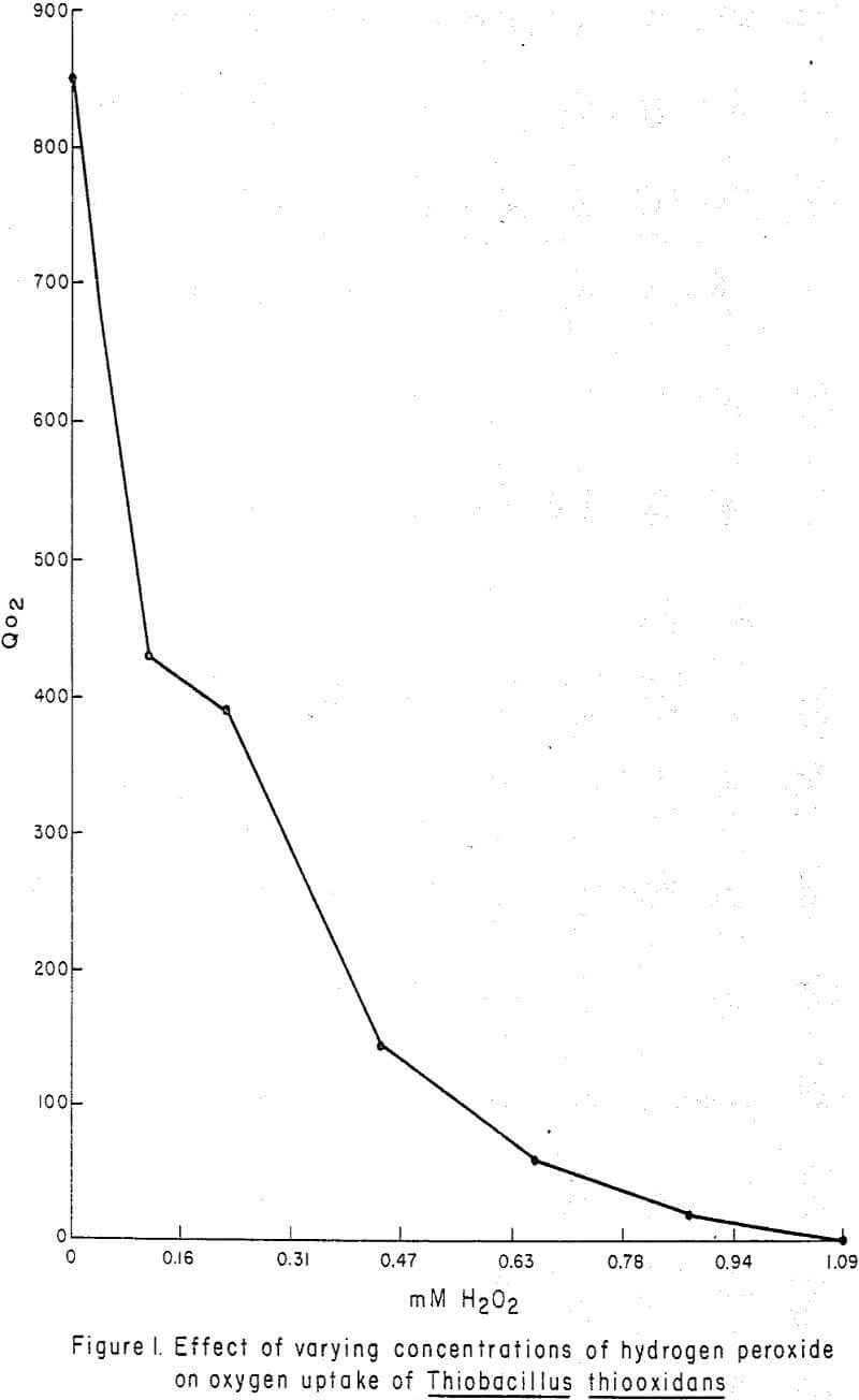 The Effect of Hydrogen Peroxide on Leach Dump Bacteria - 911Metallurgist