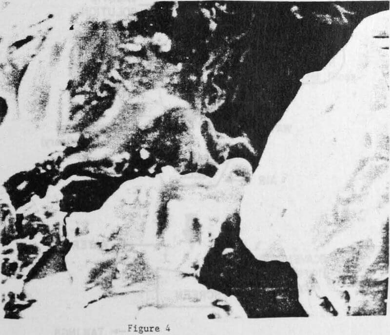 extraction-of-bitumen scanning electron photomicrograph-4